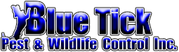 blue-tick-logo